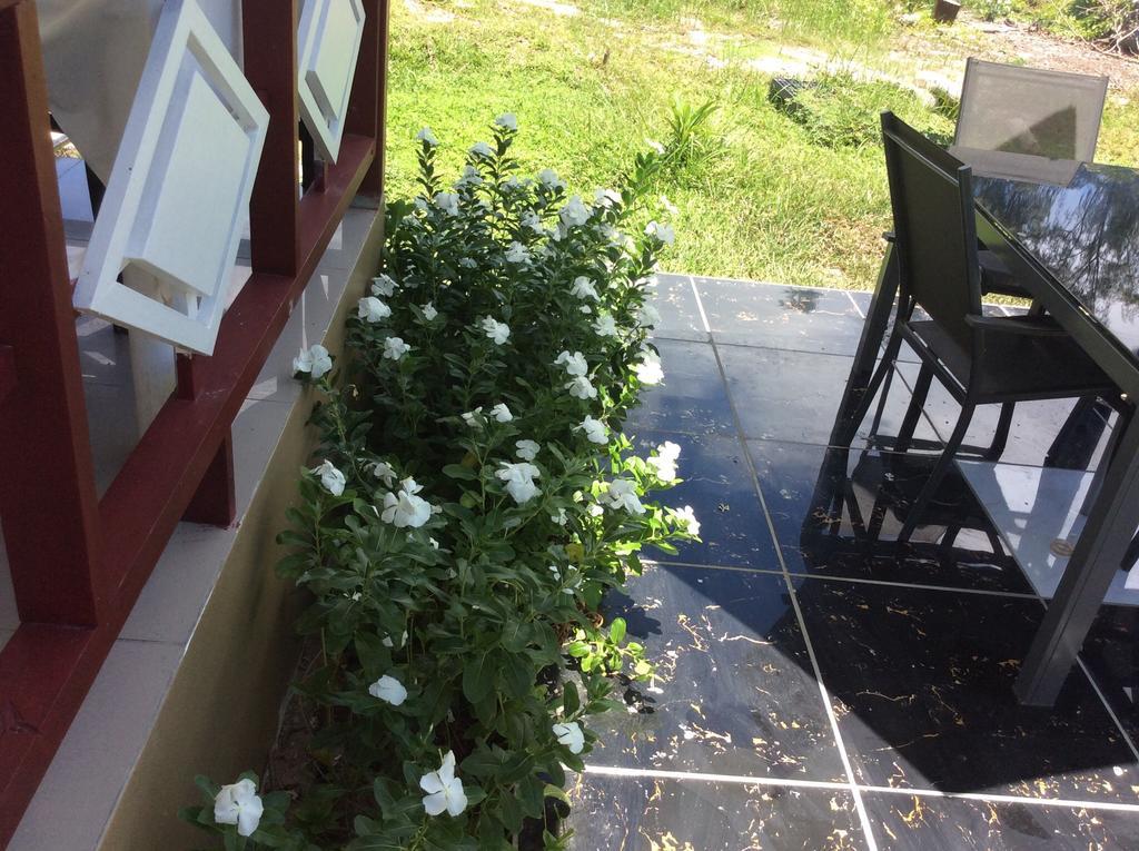 Agnes Cottage - Emerald La Digue Kültér fotó